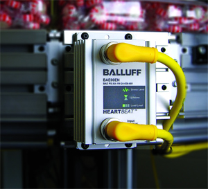 Ballfull August Pic