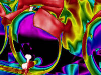 flir jun 25 1